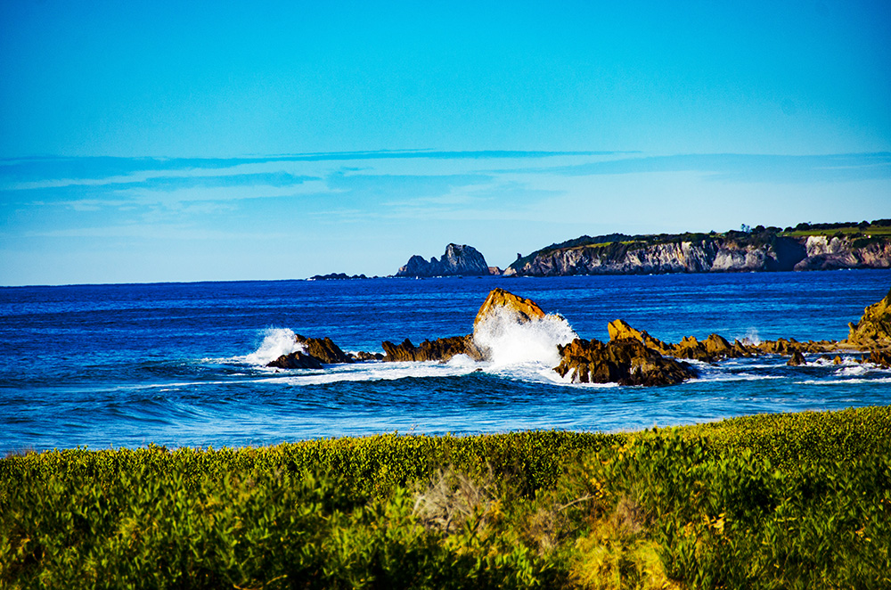 more beautiful bushwalking views