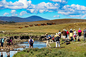 Adaminaby trip away 2013